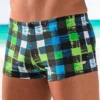 Buffalo Checked Boxer Swimming Trunks